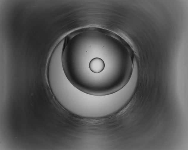 X0000088041340200705251254