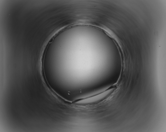 X0000088041341200705251254