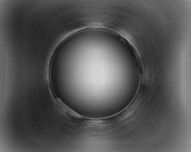 X0000088041342200705251254