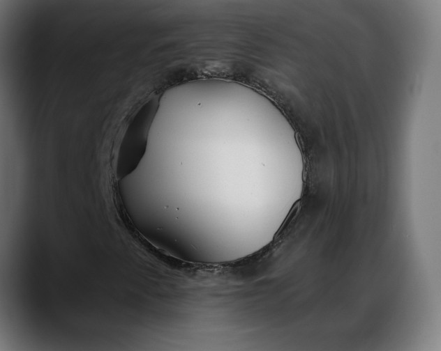 X0000088041345200705251253