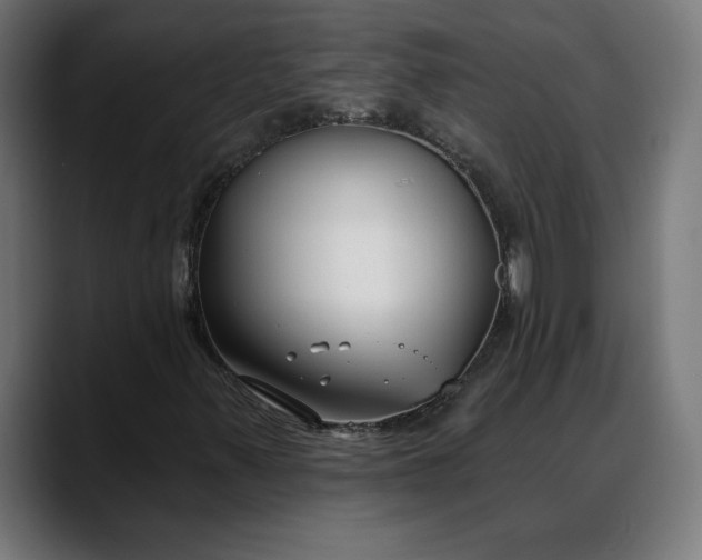 X0000088041347200705251253