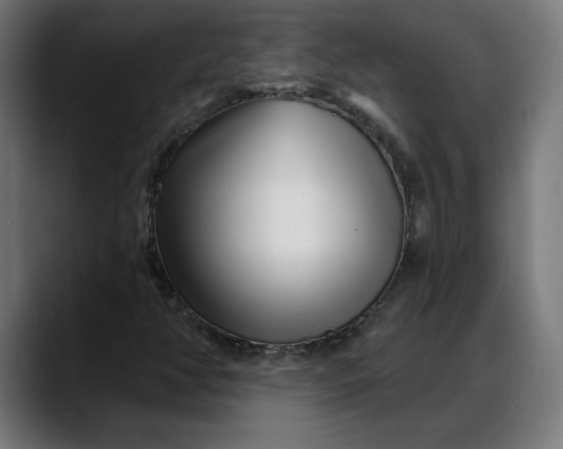 X0000088041350200705251253