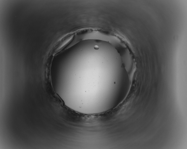 X0000088041352200705251253