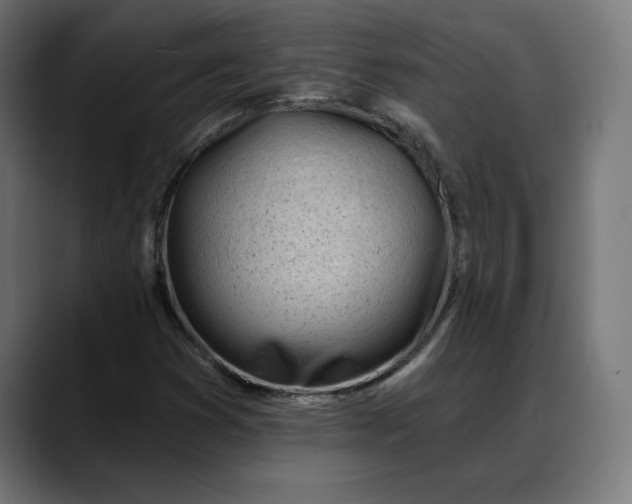 X0000088041353200705251253