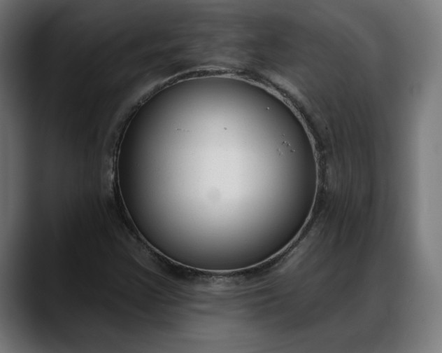 X0000088041355200705251253