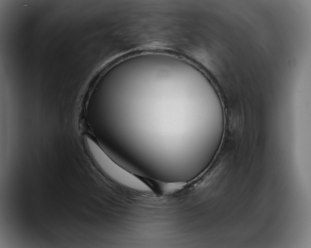 X0000088041356200705251253