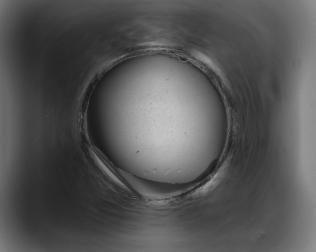 X0000088041357200705251253