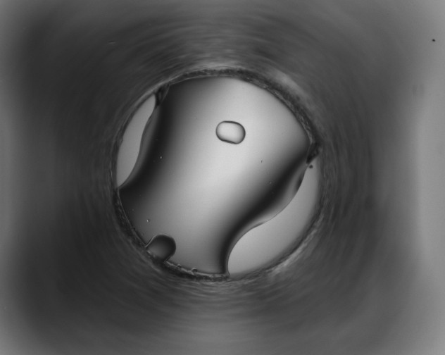 X0000088041361200705251253