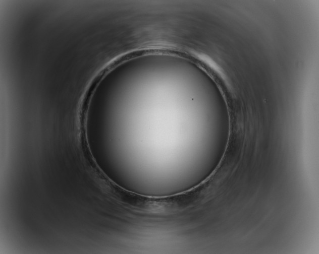 X0000088041364200705251253