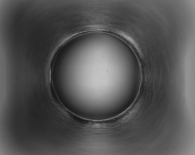 X0000088041365200705251253