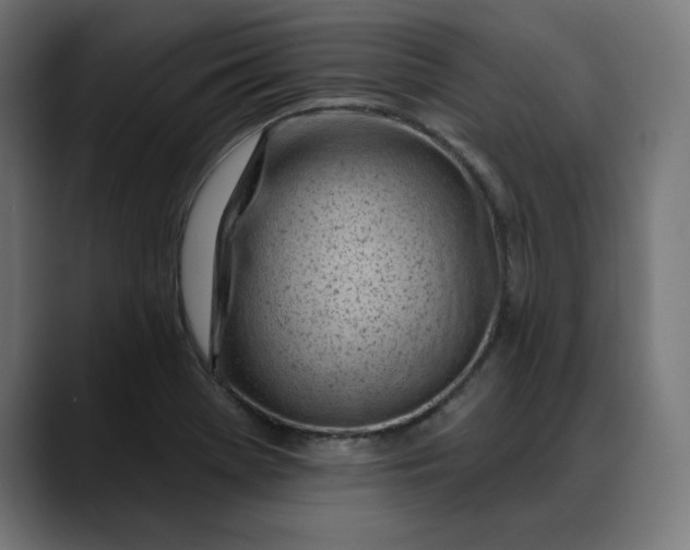 X0000088041369200705251253