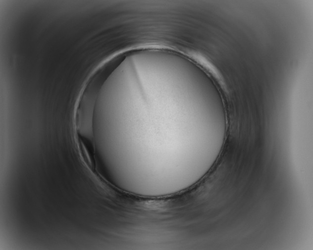 X0000088041380200705251253
