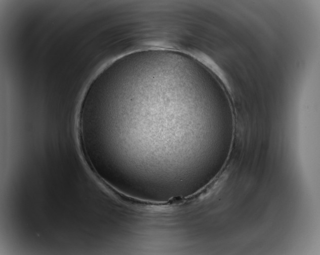 X0000088041381200705251253
