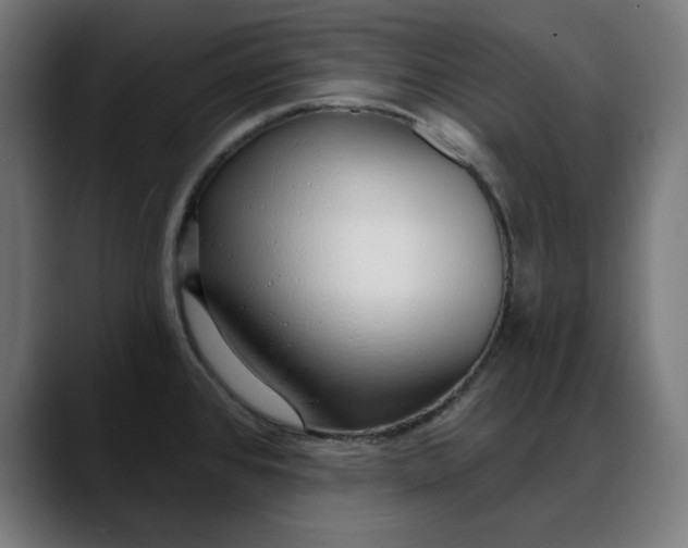 X0000088041384200705251253