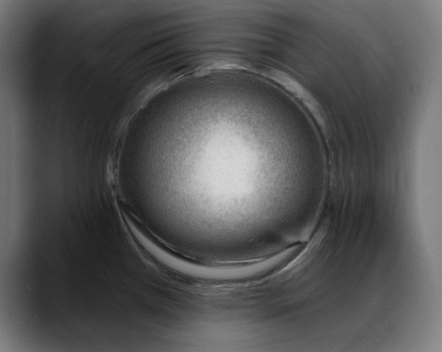X0000088041385200705251253
