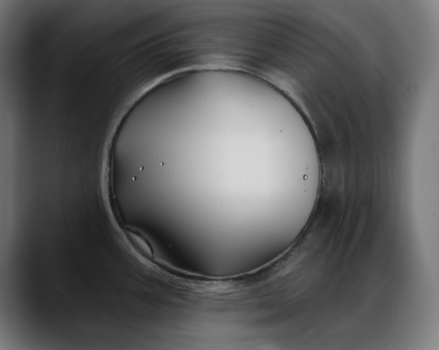 X0000088041387200705251253
