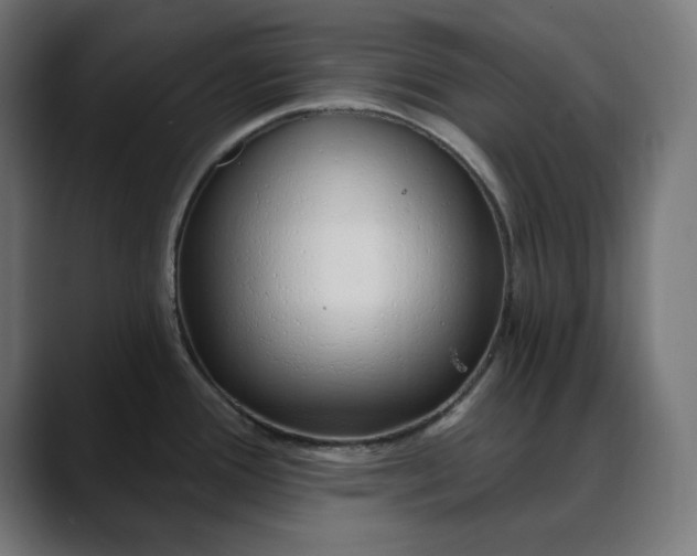 X0000088041388200705251253