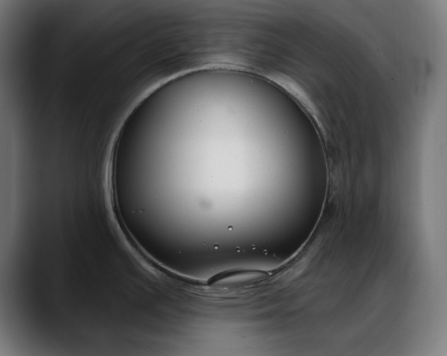 X0000088041391200705251253