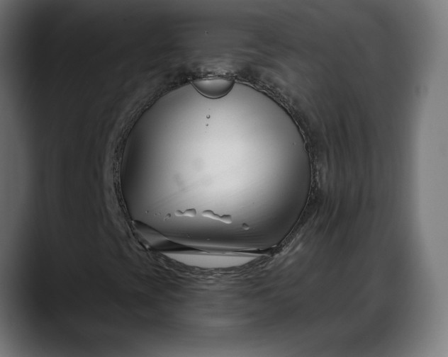 X0000088041393200705251252