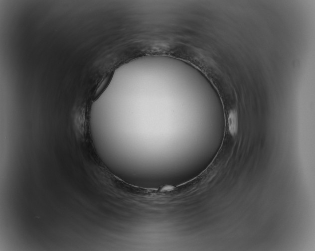 X0000088041395200705251252