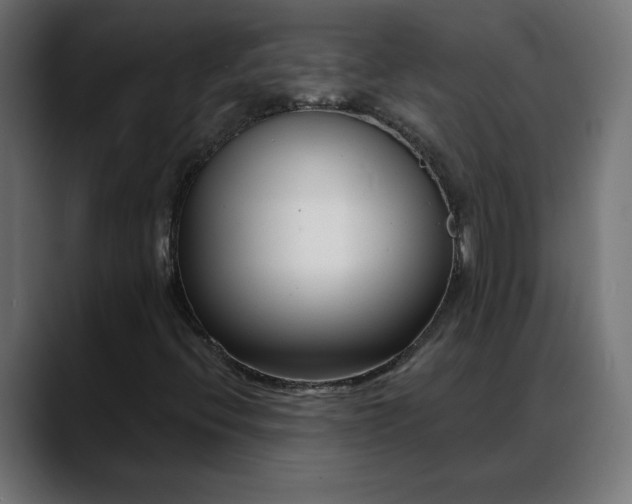 X0000088041396200705251252