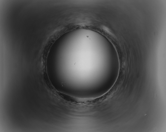X0000088041398200705251252