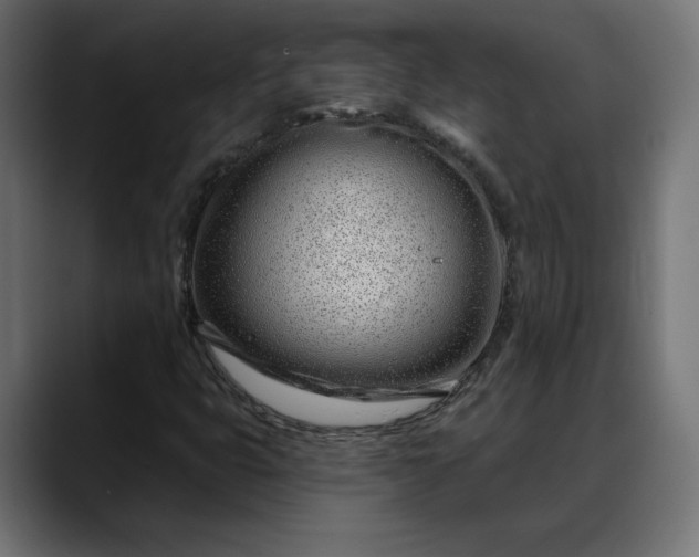 X0000088041399200705251252