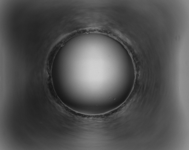 X0000088041400200705251252