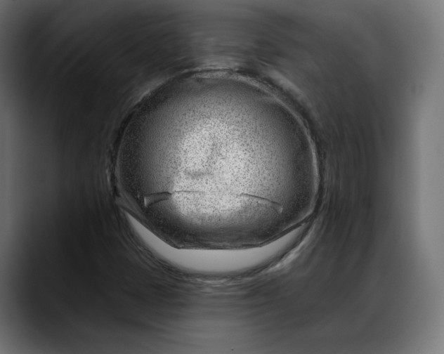 X0000088041401200705251252