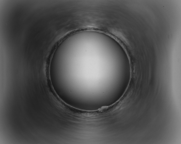 X0000088041404200705251252