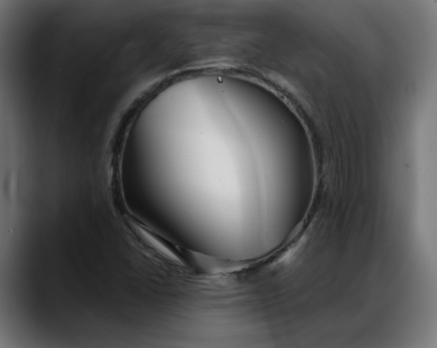 X0000088041406200705251252