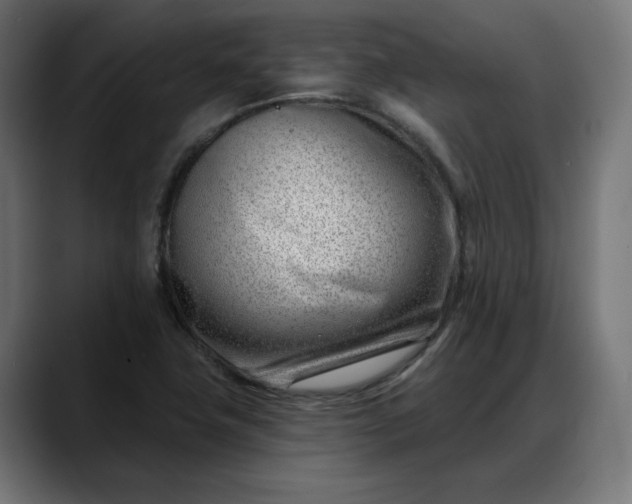X0000088041411200705251252