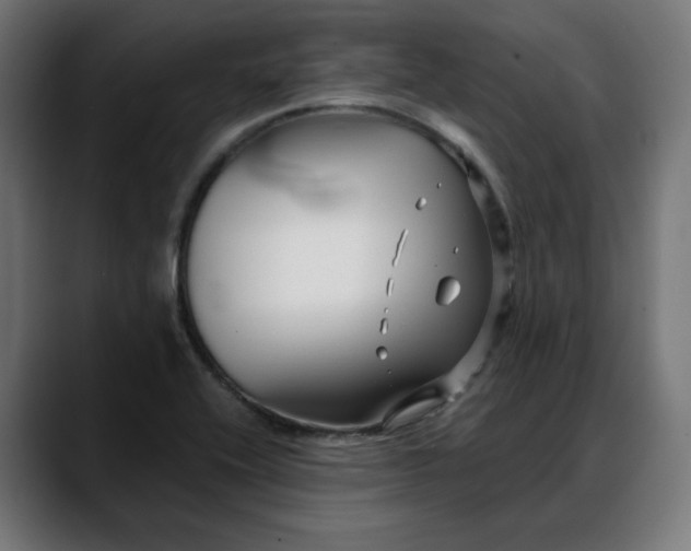 X0000088041416200705251252
