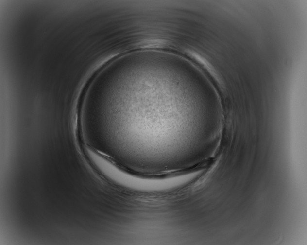 X0000088041418200705251252