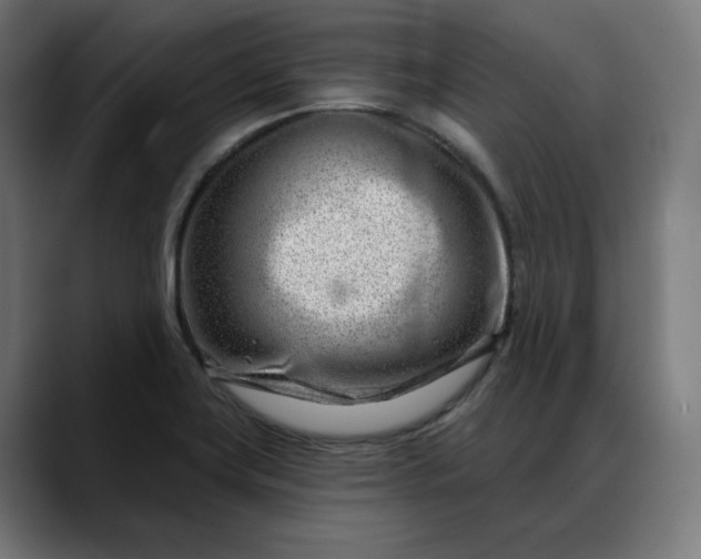 X0000088041419200705251252