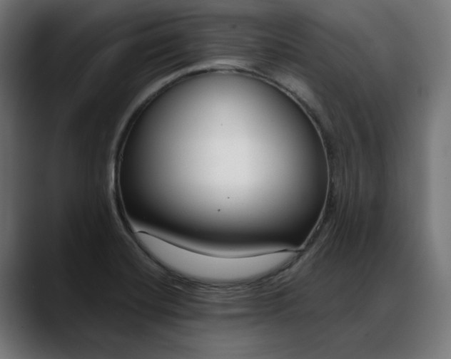 X0000088041420200705251252