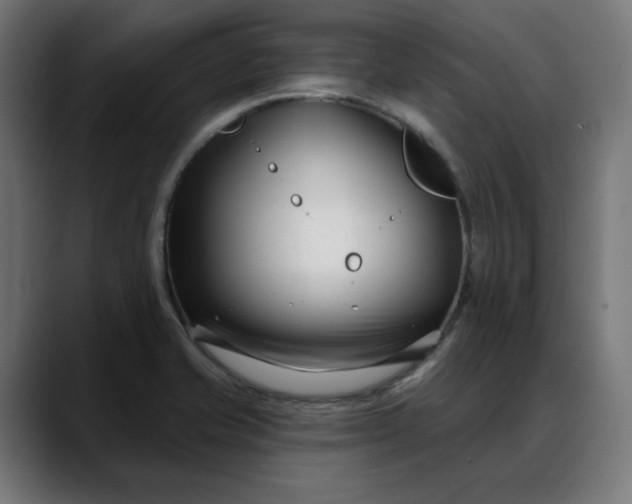 X0000088041421200705251252