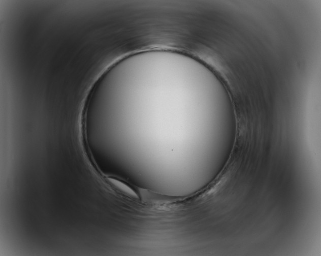 X0000088041423200705251252
