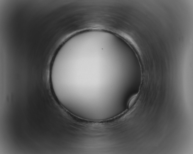 X0000088041424200705251252