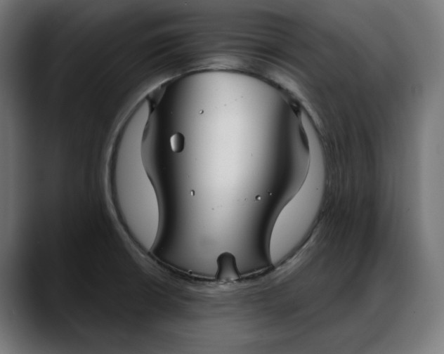 X0000088041426200705251252