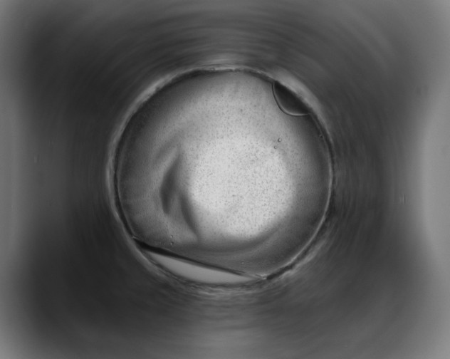 X0000088041429200705251252
