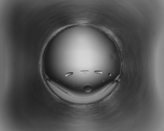 X0000088041432200705251253