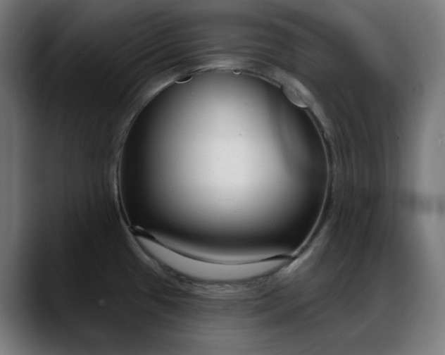X0000088041433200705251253