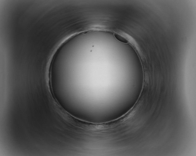X0000088041435200705251253