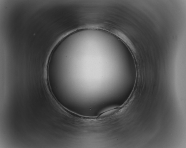 X0000088041436200705251253