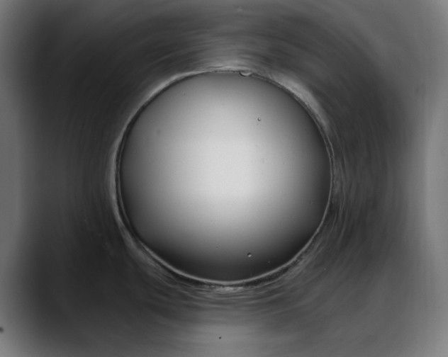 X0000088041439200705251253
