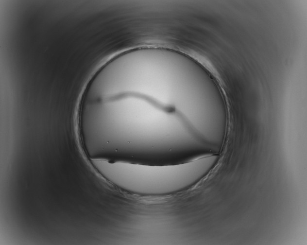 X0000088041440200705251253