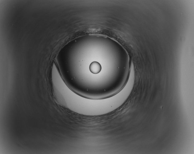 X0000088041441200705251252