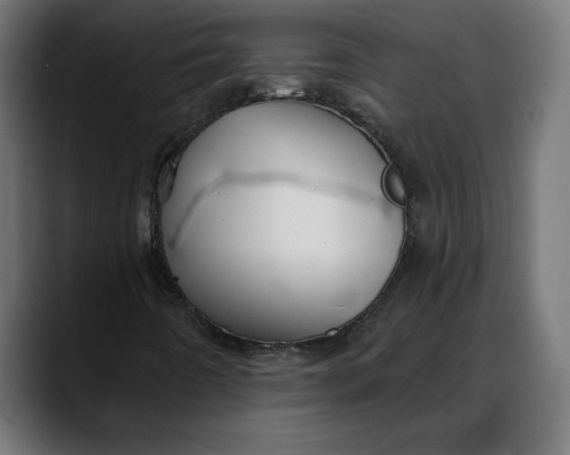 X0000088041442200705251252