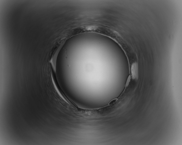 X0000088041443200705251252